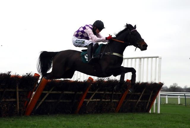 Jay Bee Why will attempt to maintain his unbeaten record over hurdles by making it two wins from as many visits to Warwick (Tim Goode/PA)