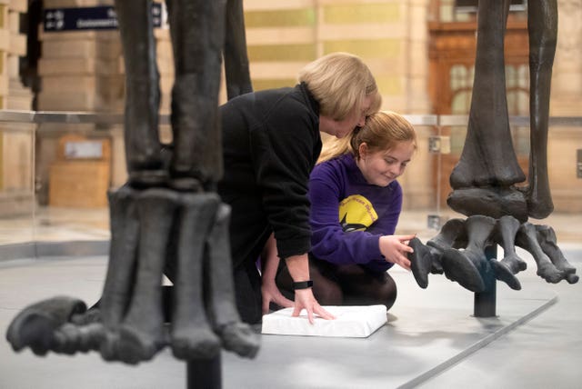 Dippy the Diplodocus skeleton cast in Glasgow