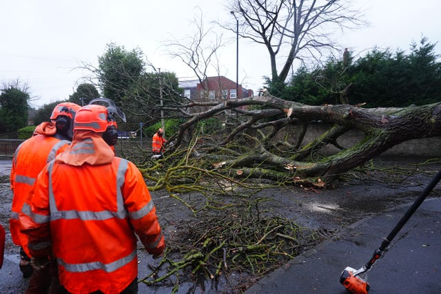Workers in hard hats and hi-vis look at a fallen tree blocking Hall Lane in Houghton-le-Spring, Durham