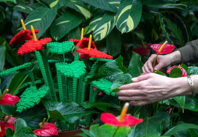Great Brick Safari
