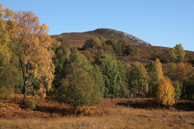 Dundreggan