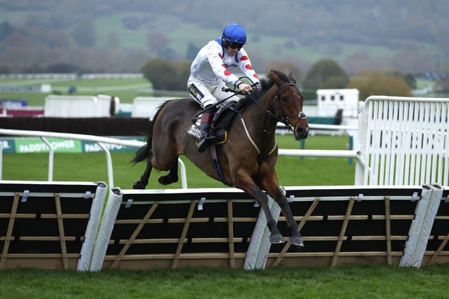 Potters Charm has plenty of Cheltenham experience