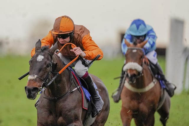 Sure Touch could be a nice prospect for trainer Olly Murphy