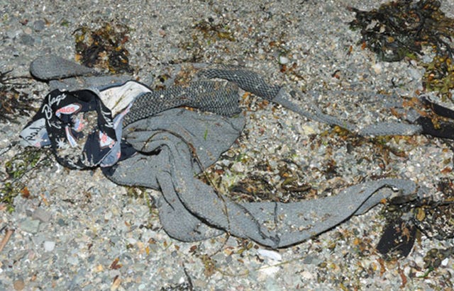 Clothes on the shoreline