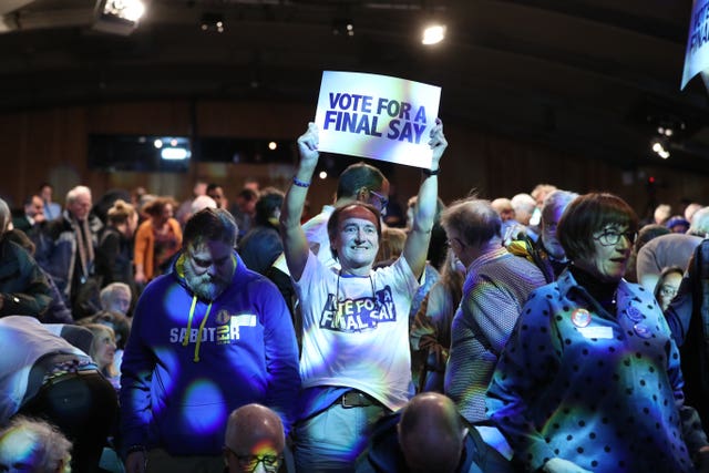 EU supporters during the Final Say rally