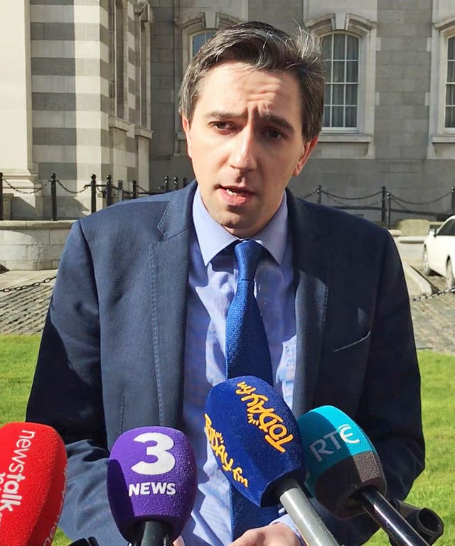 Health Minister Simon Harris spoke outside Government Buildings in Dublin following the ruling (Michelle Devane/PA)