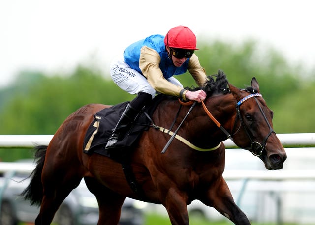 Native Warrior is a leading contender for the Lincoln