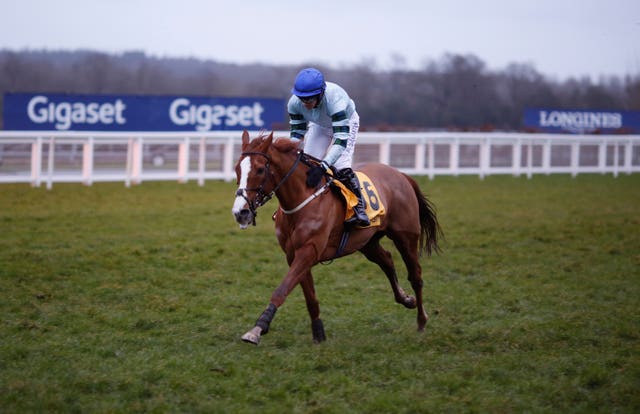 Not So Sleepy, who Aidan Coleman hopes will line up in opposition to Epatante (Julian Herbert/PA Images)