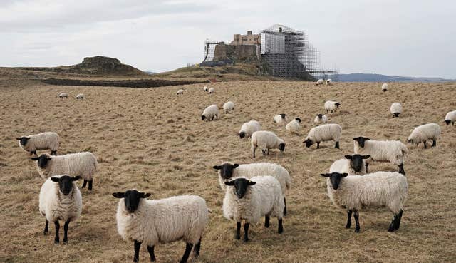 Lindisfarne Castle restoration
