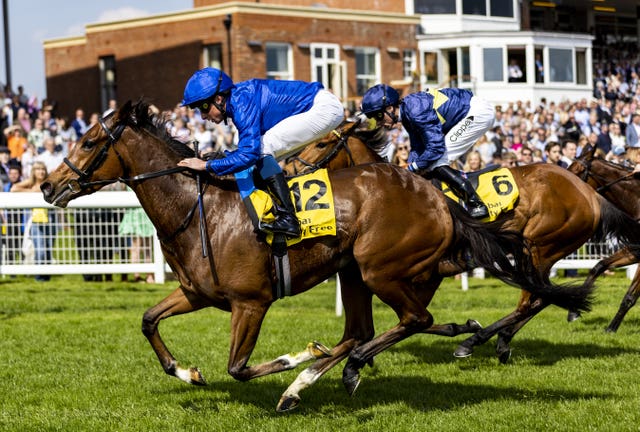 Wild Beauty has a live chance, according to big-race jockey William Buick