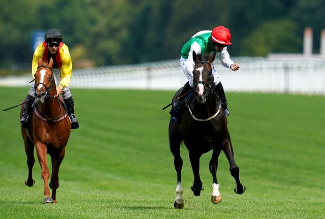 Pyledriver was an impressive winner of a decent renewal