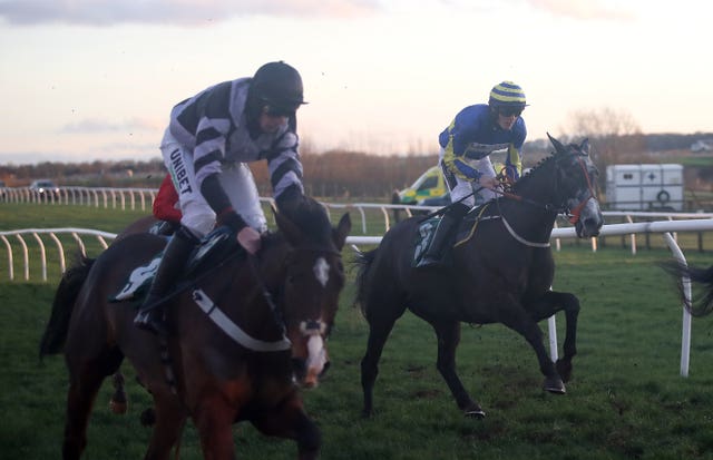 Burrow Seven (right) could have his next outing at Hexham