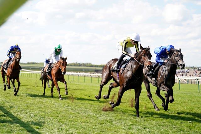 Pellitory has course and distance form to his name