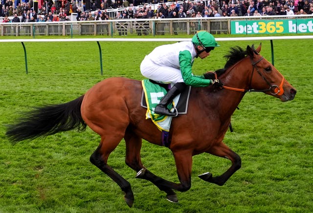 Haatem won the Craven and has bene placed in two Classics
