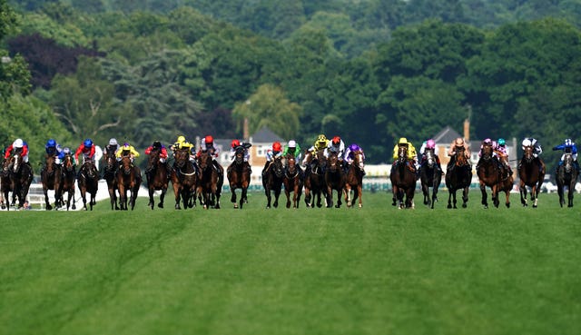 Runners thunder down the Ascot straight in the Sandringham