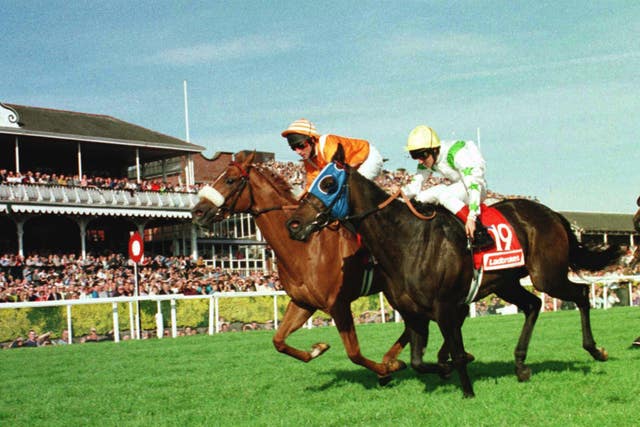 Always Alight (left) topped Daring Destiny back in 1998