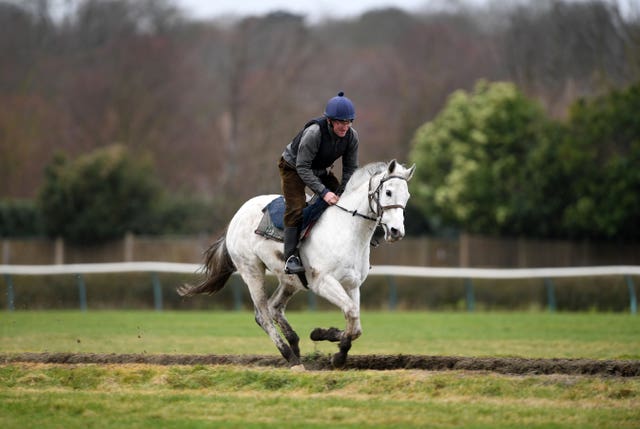 John Berry on the gallops at Newmarket this morning