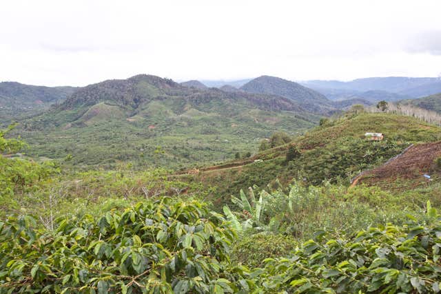 A highland coffee farm in Sumatra (James Robinson/Fairtrade Foundation/PA)