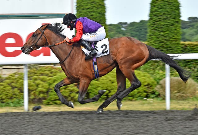 First Receiver running at Kempton during his racing days