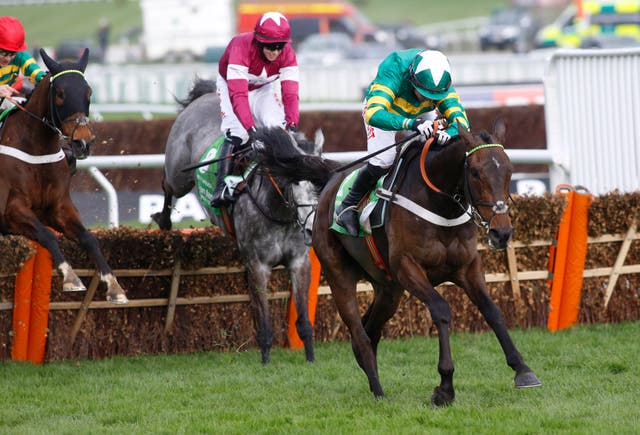 Noel Fehily driving Buveur D'Air to Champion Hurdle glory