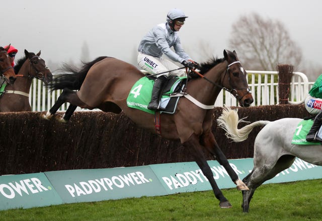 Santini in action at Cheltenham