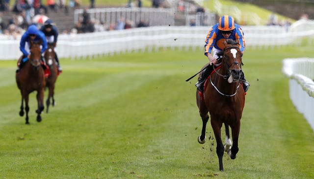 Rostropovich (right) is set to head to Chantilly rather than Epsom