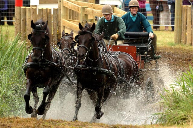 Philip competes at the Sandringham Country Show Horse Driving Trials