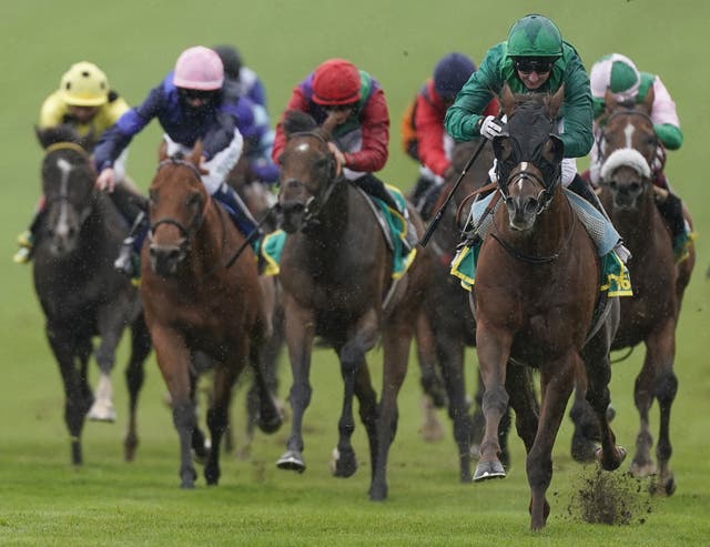 Majestic Dawn (right) will lead the Coles' charge in the Wolferton Stakes