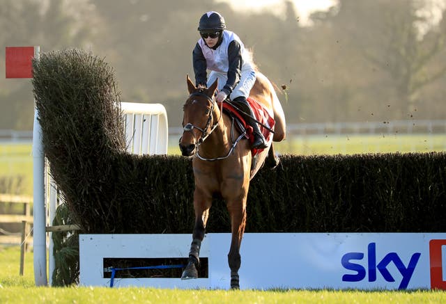 Bob Olinger won at Punchestown on his most recent outing