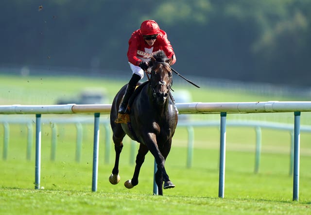 Chindit winning the Superior Mile Stakes at Haydock