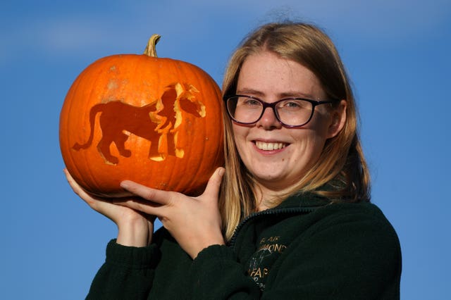 Halloween 2021
