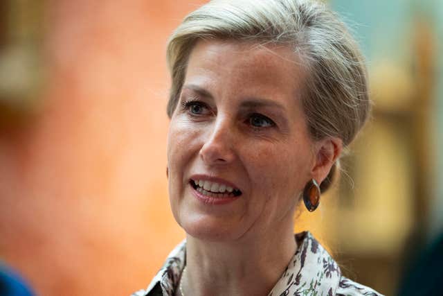 The Countess of Wessex was said to be a passenger in a vehicle which collided with Gill Walker's in Birmingham last year (Victoria Jones / PA)