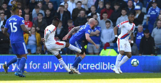 Cardiff City v Crystal Palace – Premier League – Cardiff City Stadium