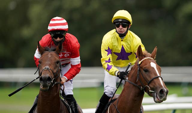 Percy's Lad (right) is a smart prospect for Eve Johnson Houghton