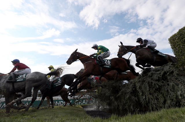 Discorama was seventh in the race last year
