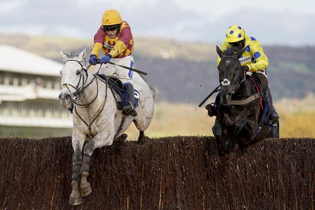 Ramses De Teillee (left) came out on top in a battle with Yala Enki at Cheltenham