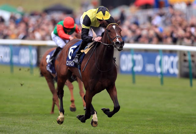 Worth Waiting will step back up to the top table in the Juddmonte Pretty Polly Stakes at the Curragh