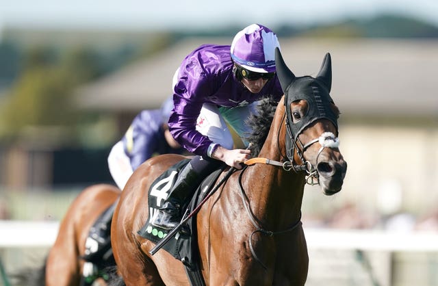 Hello You will be reunited with Rossa Ryan at Newmarket