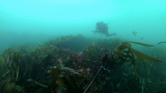 The gun casement of the shipwrecked HMS Montagu