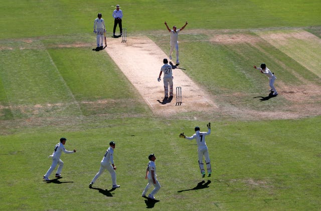 Australia's Josh Hazlewood celebrates taking the wicket of England's Rory Burns 