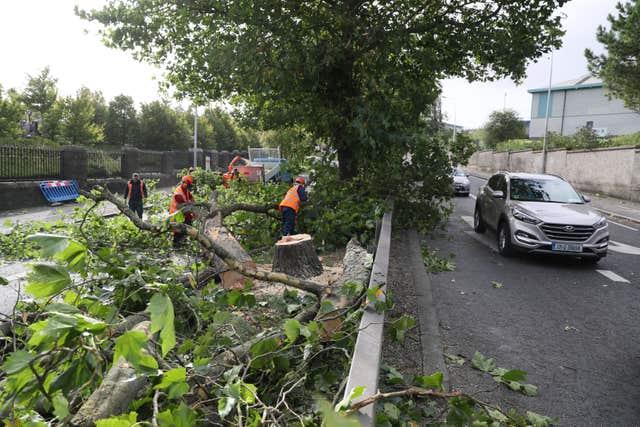 The wreckage from Storm Ali