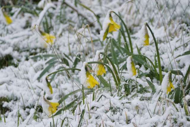 Spring weather Mar 7th 2023