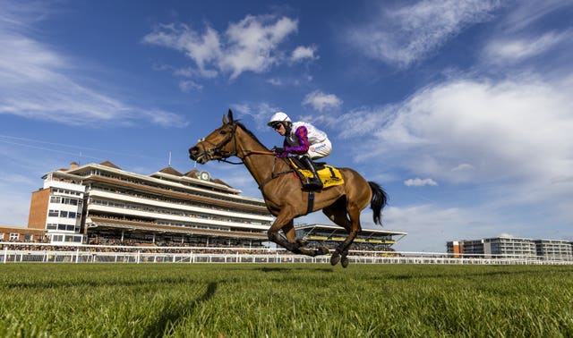 Bravemansgame is a rising star for Paul Nicholls