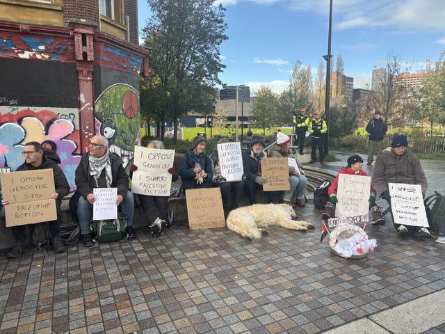 Israel-Hamas conflict