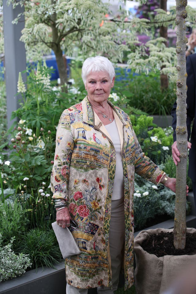 Dame Judi Dench