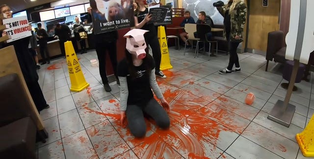 Dylan Roffey wearing a pig mask during the protest