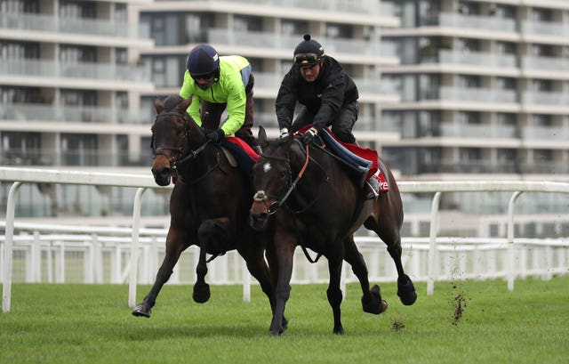 Altior (right) took part in a gallop at Newbury with recent Fighting Fifth winner Epatante