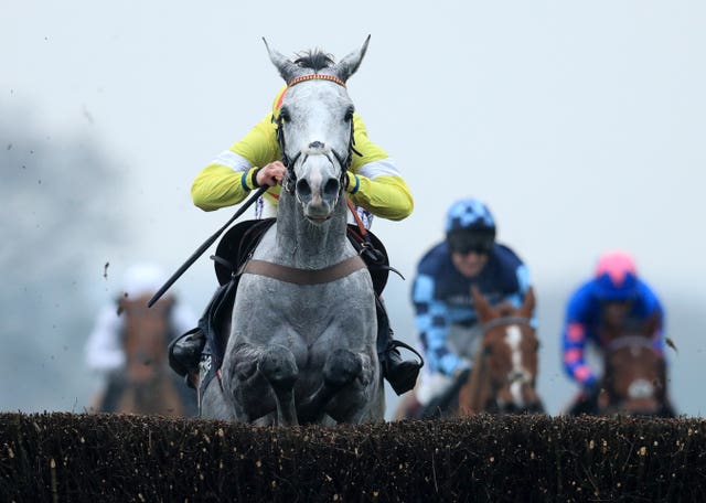 Politologue has a good record at Ascot