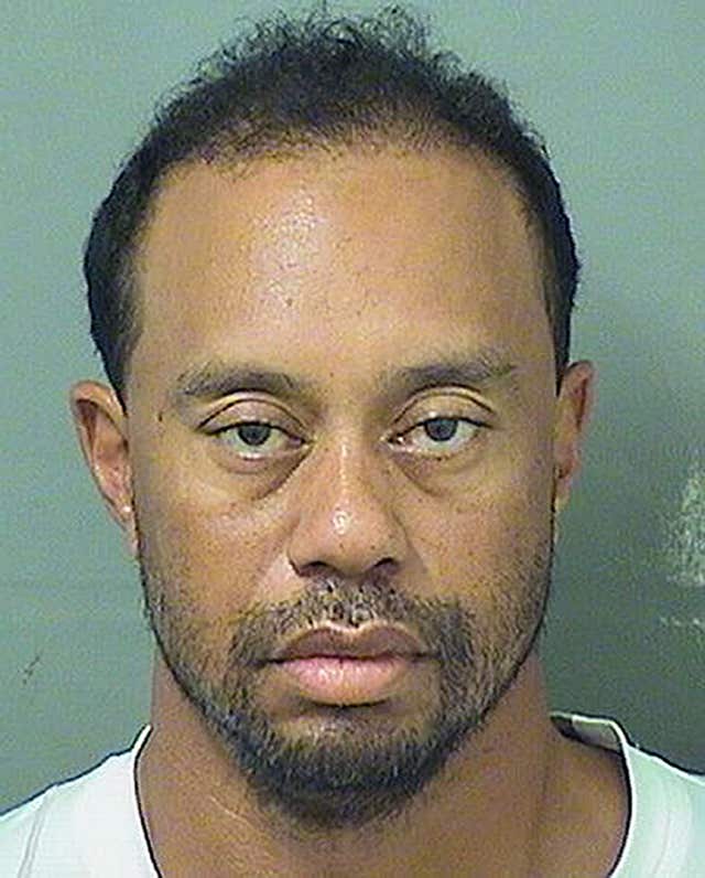 Tiger Woods 