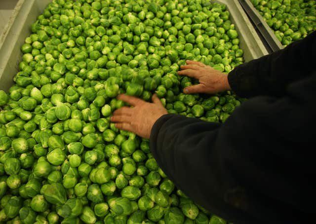 Brussels sprouts